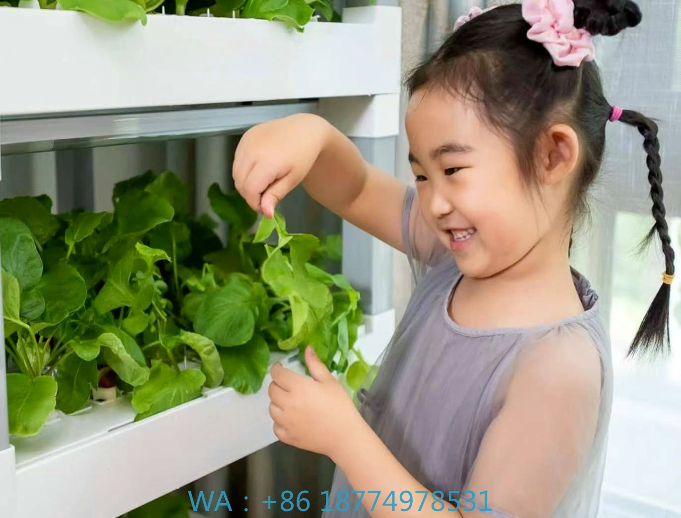 nt China Hydrokultur Grow Box  - Home Automation Systems Diy avaliação e preço