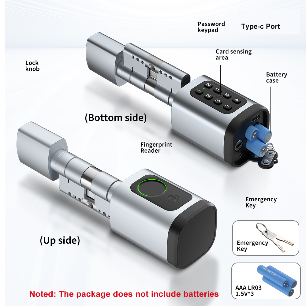 RAYKUBE V1 Tuya BLE TT Lock Sm - Home Automation System Diy avaliação e preço