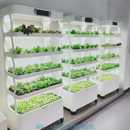 Iydroponic Automated Grow Syst - Home Automation Systems Diy avaliação e preço