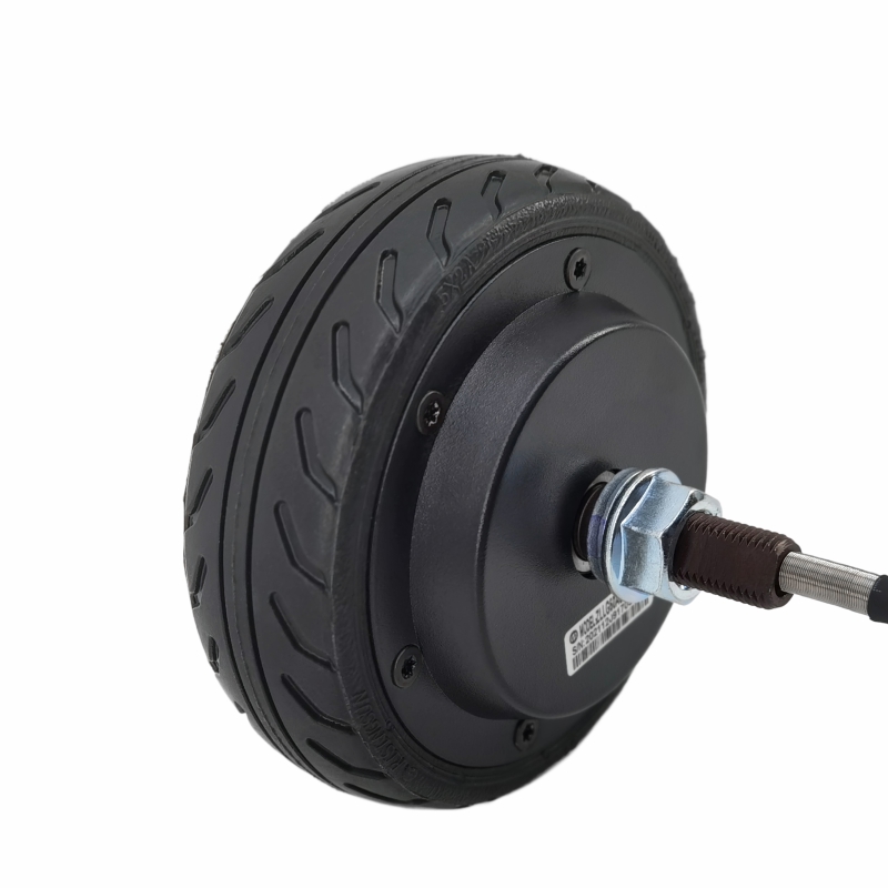 5.5 Inch DC24V Wheel Hub Motor - Diy Home Automation Hub avaliação e preço