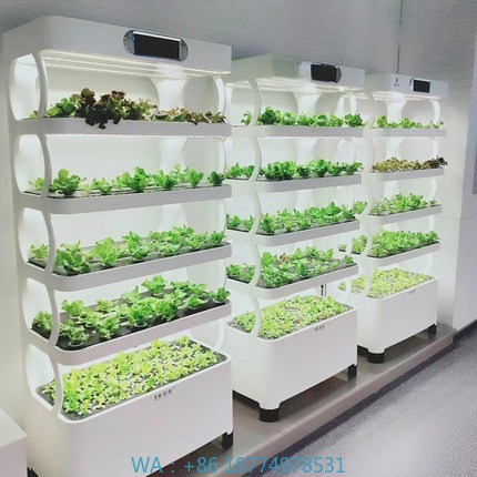 Hydroponic Automated Grow Syst - Home Automation Systems Diy avaliação e preço